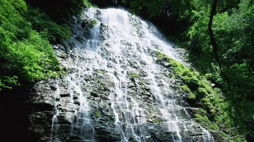 高精度绿色独特